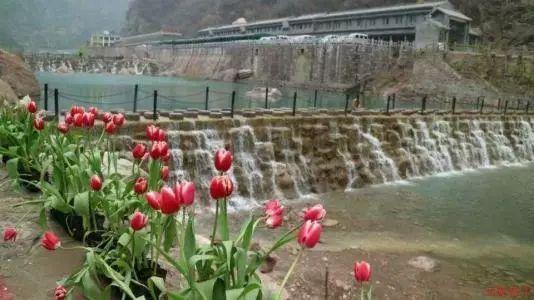 美妙圣诞节拼图